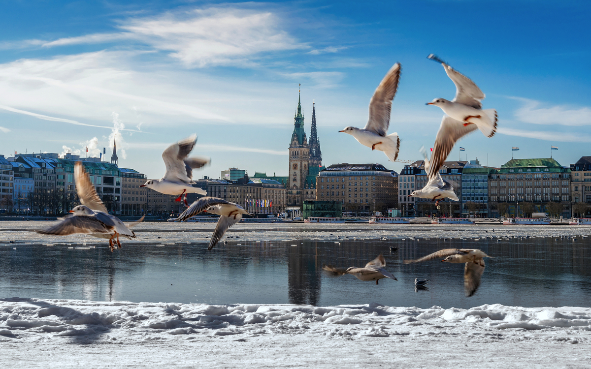 Hamburgs Alster im Schnee