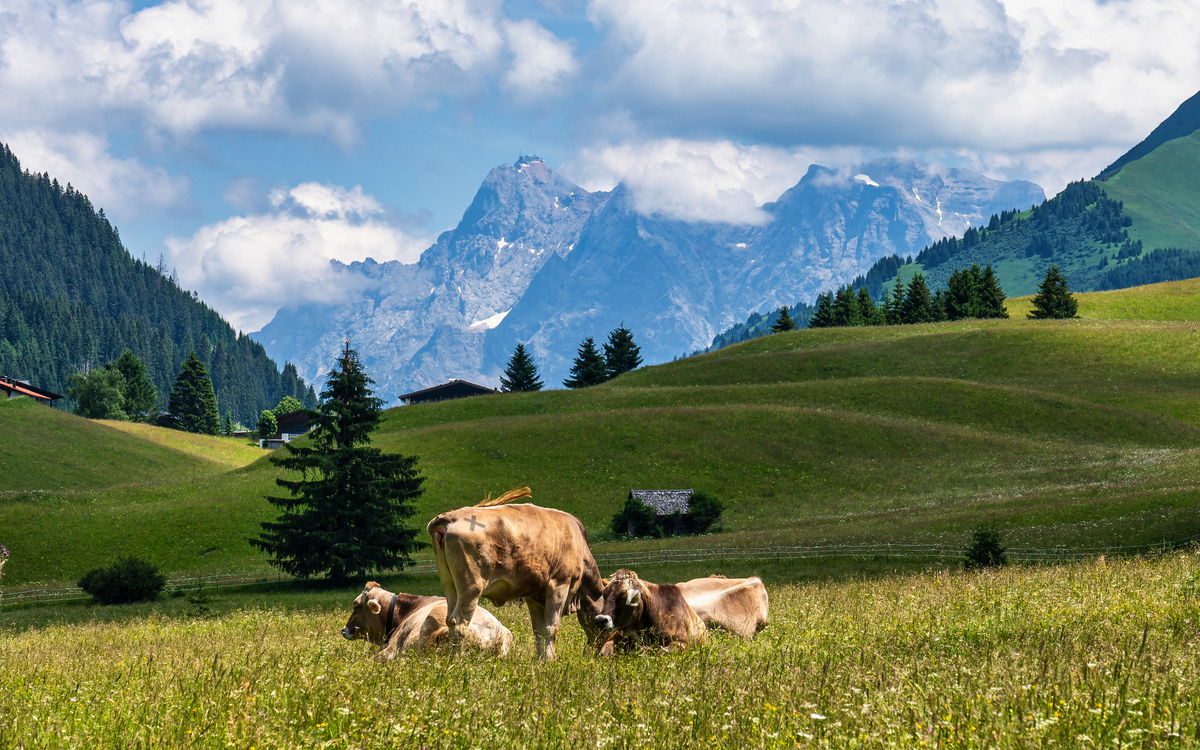 Rinnen in Tirol