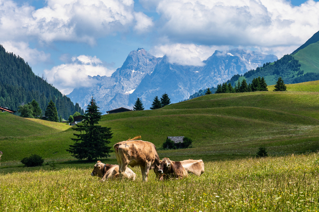 Rinnen in Tirol