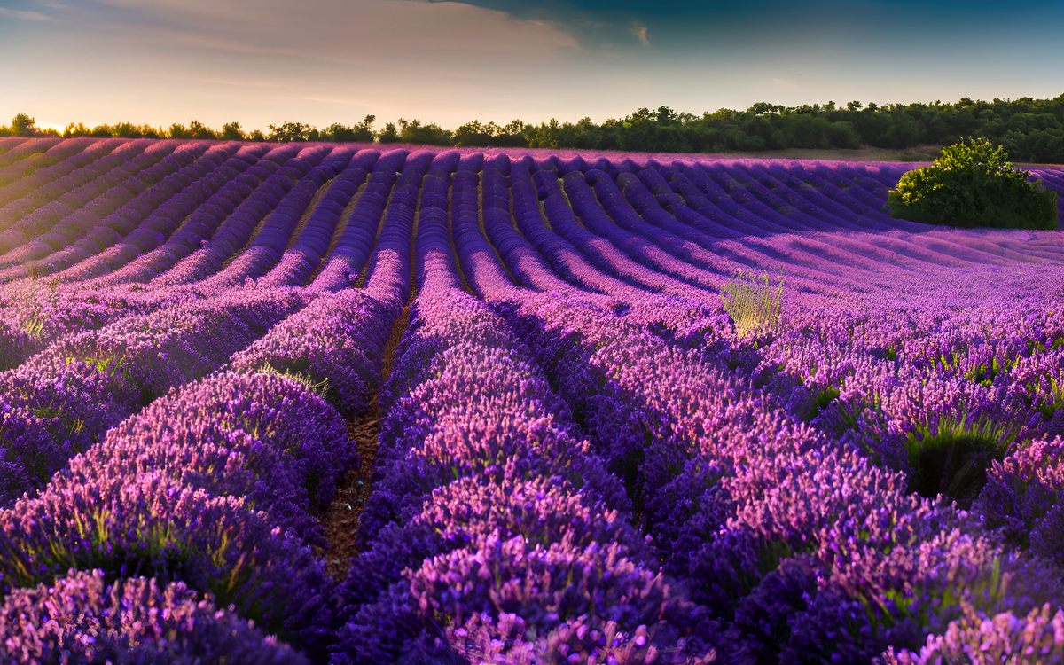 Traumhafte Provence…