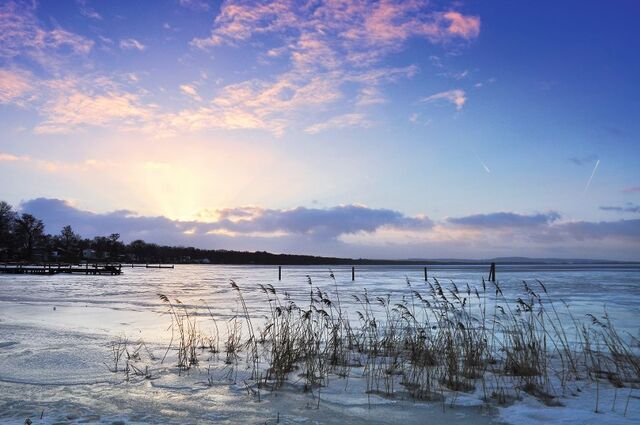 Winter am Steinhuder Meer