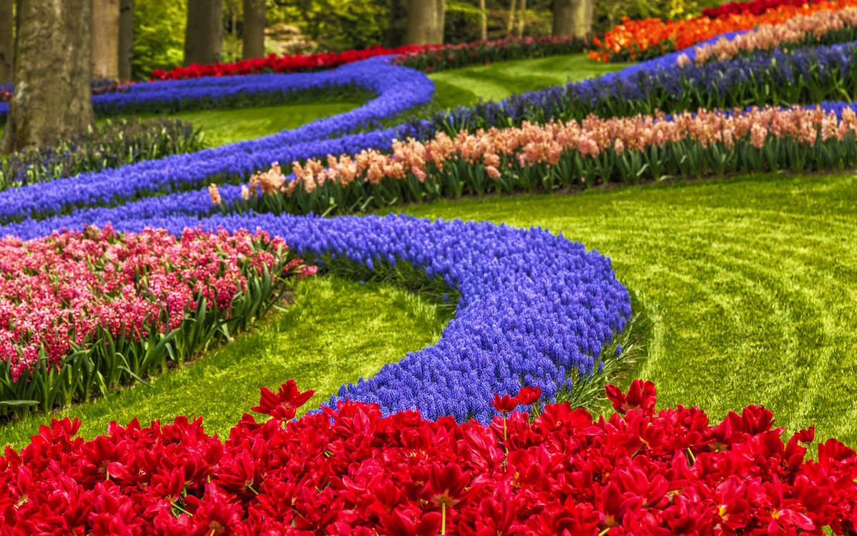 Frühlingsparadies Keukenhof