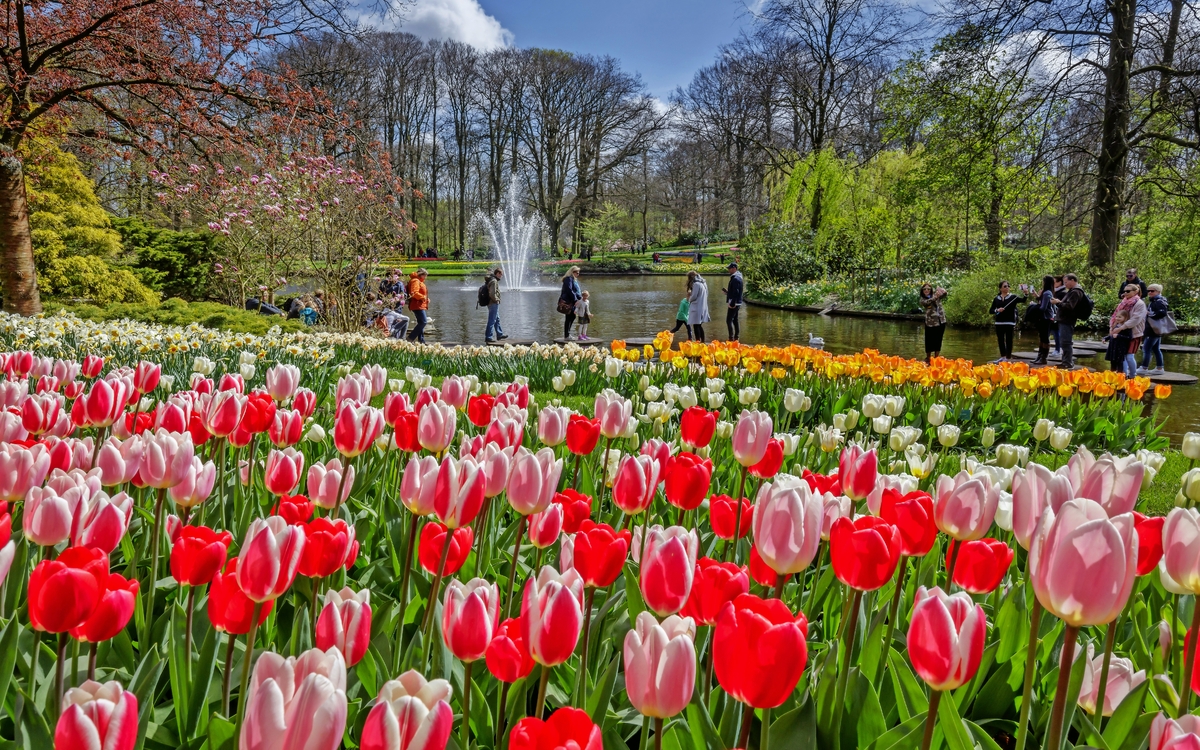 Frühlingsparadies Keukenhof