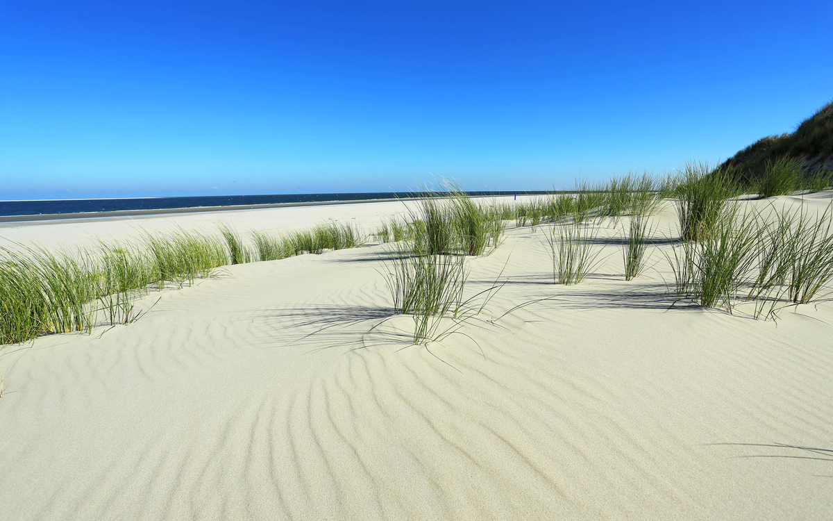 Borkum Insel Erlebnis