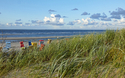 Strandkörbe hinter Dünengras auf der ostfriesischen Insel Langeoog, Deutschland