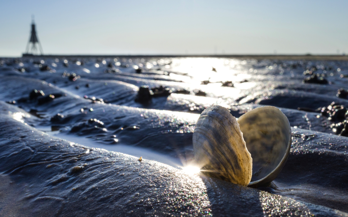 Cuxhaven