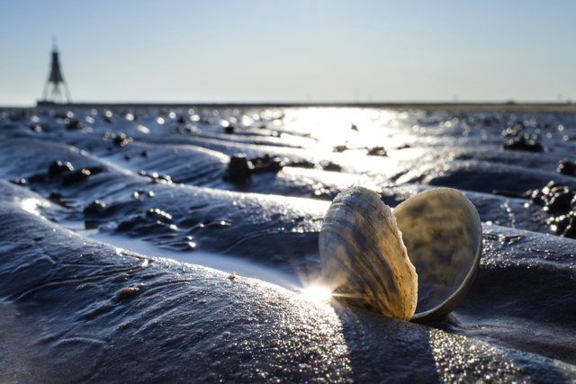 Wattenmeer in Cuxhaven mit der Kugelbake