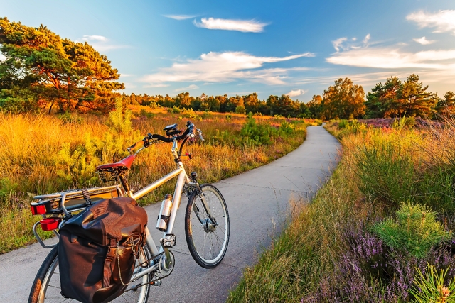 Elektrisches Fahrrad im niederländischen Nationalpark Die Veluwe
