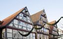 Celle VII