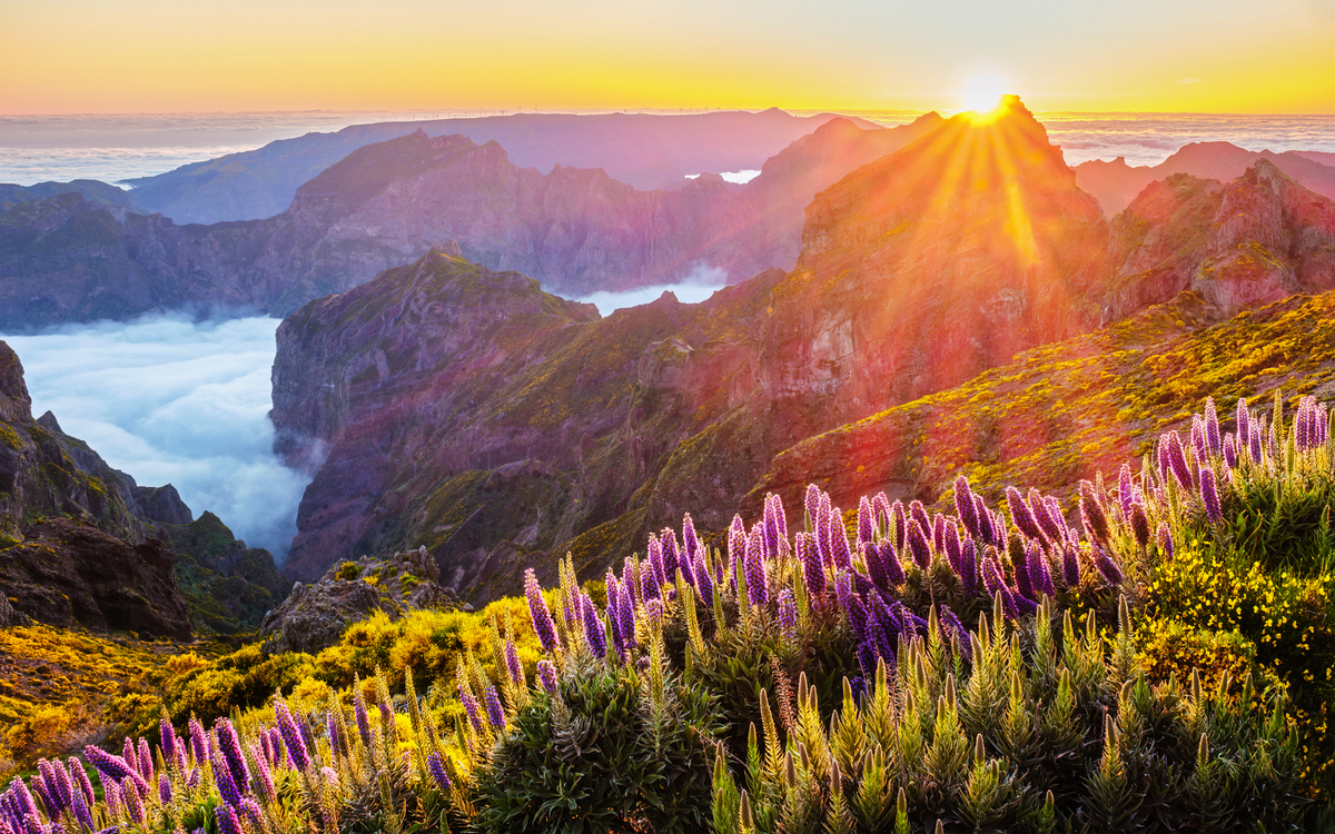 Flugreise Madeira