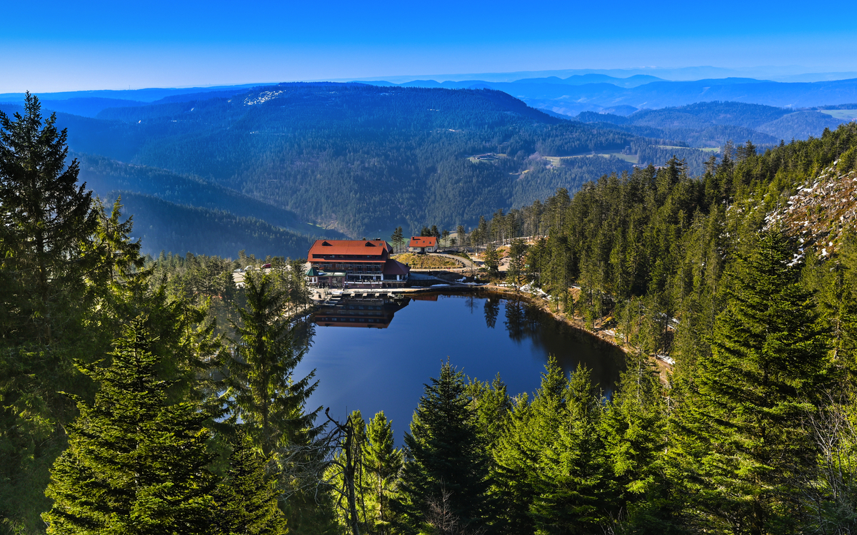 Schwarzwald