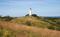 Leuchtturm Dornbusch auf Hiddensee mit grasbewachsener Landschaft im Vordergrund.