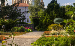 Garten mit Blumen im Vordergrund und Kuppelgebäude im Hintergrund.