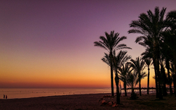 Strand von Torremolinos an der Costa del Sol bei Sonnenuntergang mit Palmen im Vordergrund.