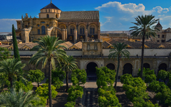 Garten mit Palmen und historischem Gebäude im Hintergrund bei klarem Himmel.