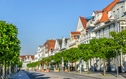 Straße mit historischen Gebäuden und Bäumen an einem sonnigen Tag.