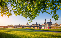 Stadtansicht von Dresden mit der Elbe und grüner Uferwiese