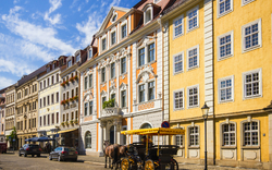 Pferdekutsche vor historischen Gebäude in sonniger Allee