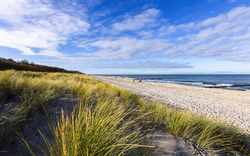 Strand mit Dünen und blauem Himmel im Hintergrund.