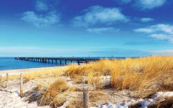 Strand mit Dünen und Holzsteg vor blauem Himmel und Meer.