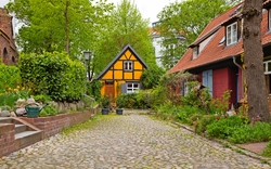Pflasterstraße mit Fachwerkhäusern und grünen Bäumen im Hintergrund.
