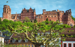 Heidelberger Schloss mit Altstadt und Bäumen im Vordergrund.