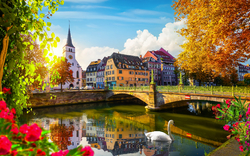 Fluss mit Schwan, Brücke, Kirche und Herbstbäumen in einer malerischen Stadt.