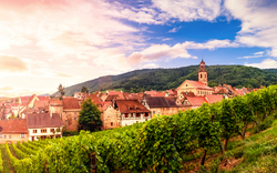 Weinberg mit Dorf und Kirche im Hintergrund bei Sonnenuntergang