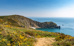 Küstenlandschaft mit Klippen, Meer und blühenden Wiesen.