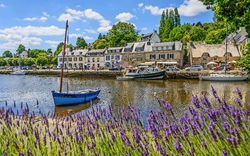 Lavendelfeld vor einem Fluss mit Booten, im Hintergrund Häuser und Bäume.