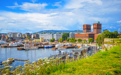 Blick auf die Küste mit Hafen, Gebäuden und grünem Hügel im Vordergrund.
