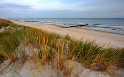 Sanddünen mit Gräsern an einem ruhigen Strand bei bewölktem Himmel.