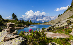 Bergsee mit Blumen im Vordergrund und Gebirgskette im Hintergrund bei Sonnenschein