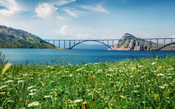 Brücke zur Insel Krk in der Kvarner Bucht, Kroatien, mit mediterraner Landschaft im Vordergrund.