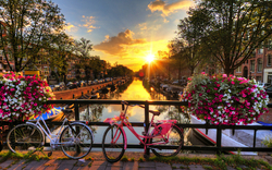Zwei Fahrräder auf Brücke über Kanal bei Sonnenuntergang, umgeben von Blumen.