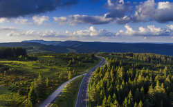Waldlandschaft mit Straße unter einem bewölkten Himmel.