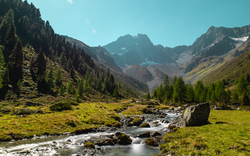 Berglandschaft mit Bach, grünen Wiesen und Nadelbäumen vor großem Gebirgshintergrund