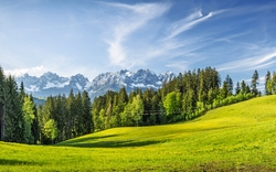 Grüne Wiese mit Bäumen und Bergen im Hintergrund bei klarem Himmel.