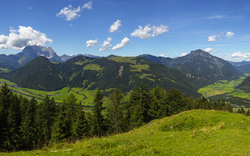 Panoramablick auf grüne Berge und Wälder unter blauem Himmel.