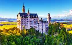 Schloss Neuschwanstein auf einem Hügel mit Wald und blauem Himmel im Hintergrund.