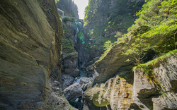 Tiefe Schlucht mit Felsformationen und Bäumen.