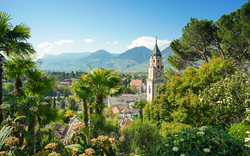 Kirchturm in Meran vor Bergen und Palmen.