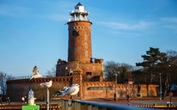 Möwen sitzen auf einem Geländer vor einem Leuchtturm.