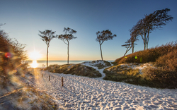 Sandstrand mit Gräsern, Bäumen und Sonnenuntergang am Meer.