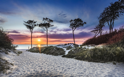 Sandweg mit Bäumen zum Strand bei Sonnenuntergang, Meer im Hintergrund
