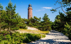 Leuchtturm Darßer Ort an der Ostseeküste von Fischland-Darß, umgeben von Bäumen und Sanddünen.