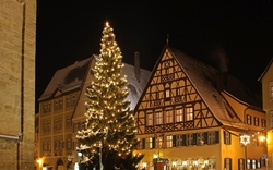 Beleuchteter Weihnachtsbaum vor Fachwerkhäusern bei Nacht.
