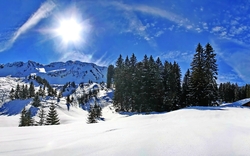 Verschneite Berglandschaft mit Tannenbäumen und Sonnenschein.