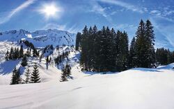 Verschneite Winterlandschaft mit Bergen, Bäumen und blauen Himmel unter strahlendem Sonnenschein.