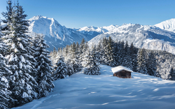 Verschneite Berglandschaft mit Hütte und Tannen im Vordergrund.